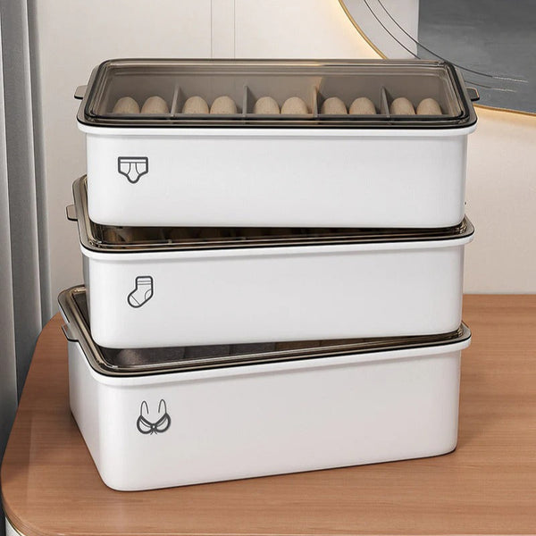 SmartSpace Socks & Underwear Organizer