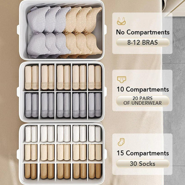 SmartSpace Socks & Underwear Organizer