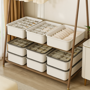 SmartSpace Socks & Underwear Organizer