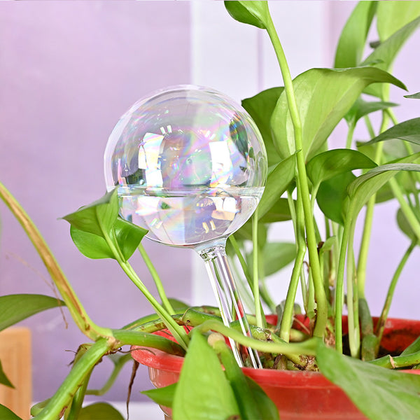 Pearlescent Glass Plant Watering Globe