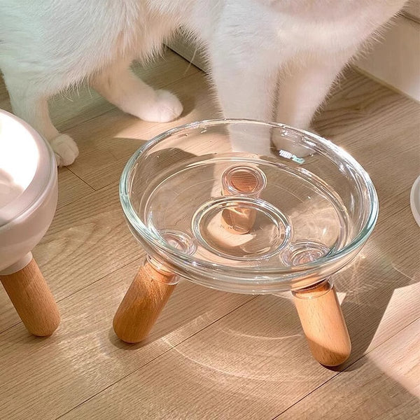 Elevated Glass Bowl Pet Feeder