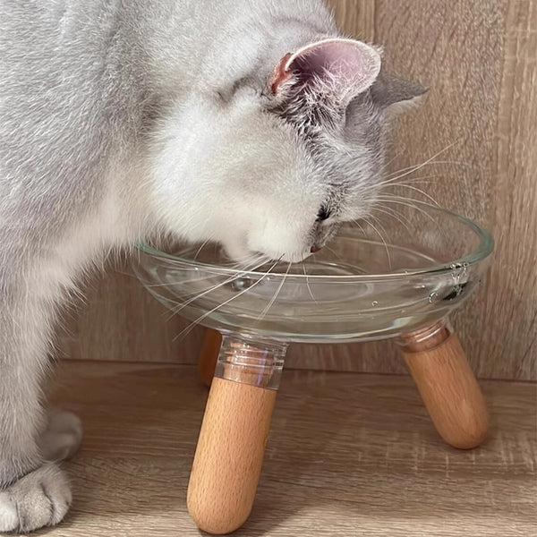 Elevated Glass Bowl Pet Feeder