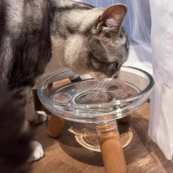 Elevated Glass Bowl Pet Feeder