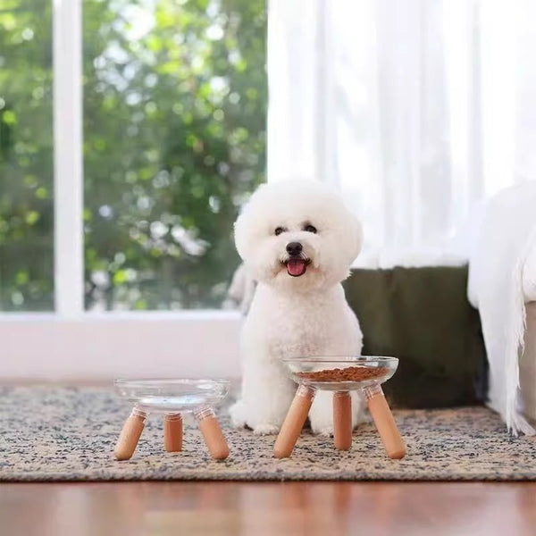 Elevated Glass Bowl Pet Feeder