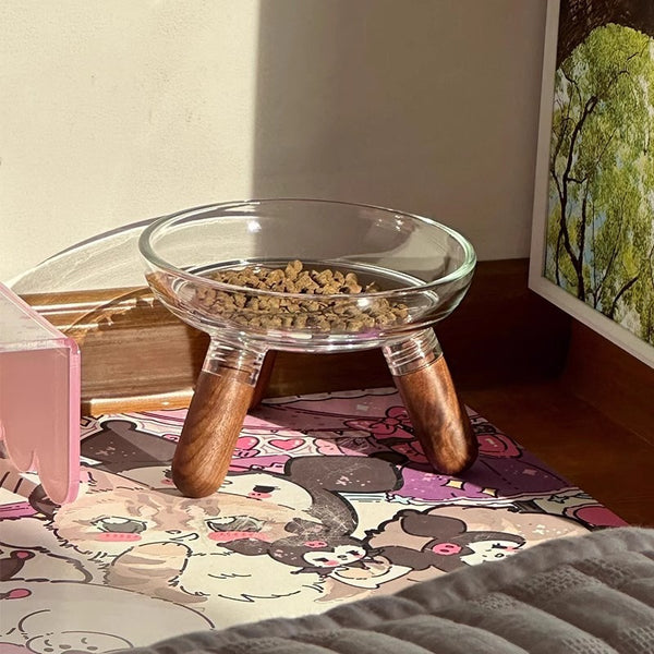 Elevated Glass Bowl Pet Feeder