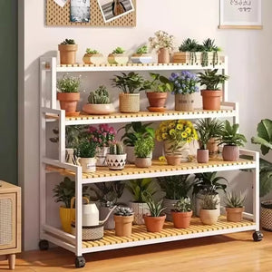 Stepped Shelf Plant Organizer Stand