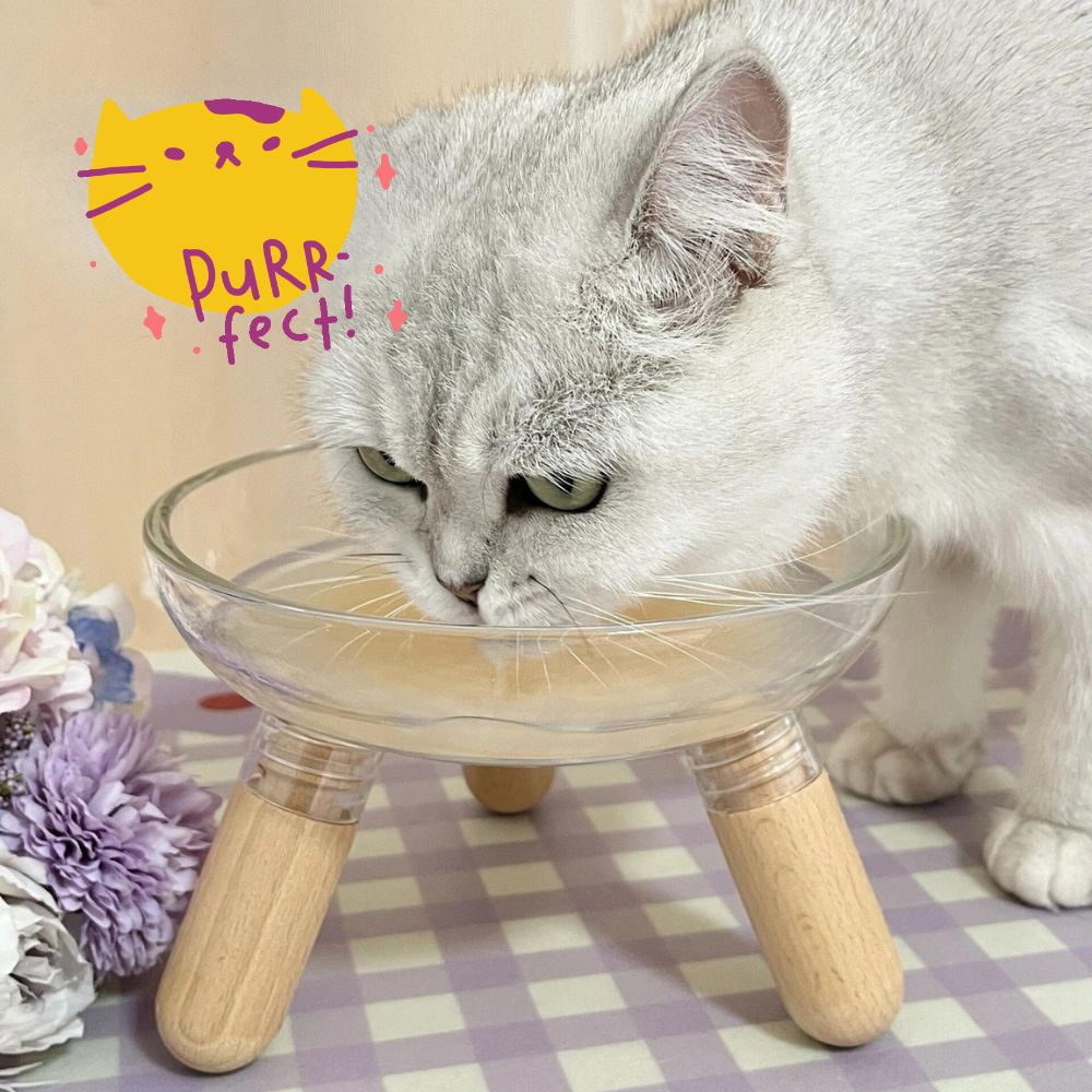Elevated Glass Bowl Pet Feeder
