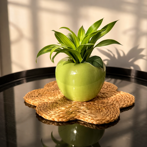 Apple-Shaped Ceramic Flower Vase